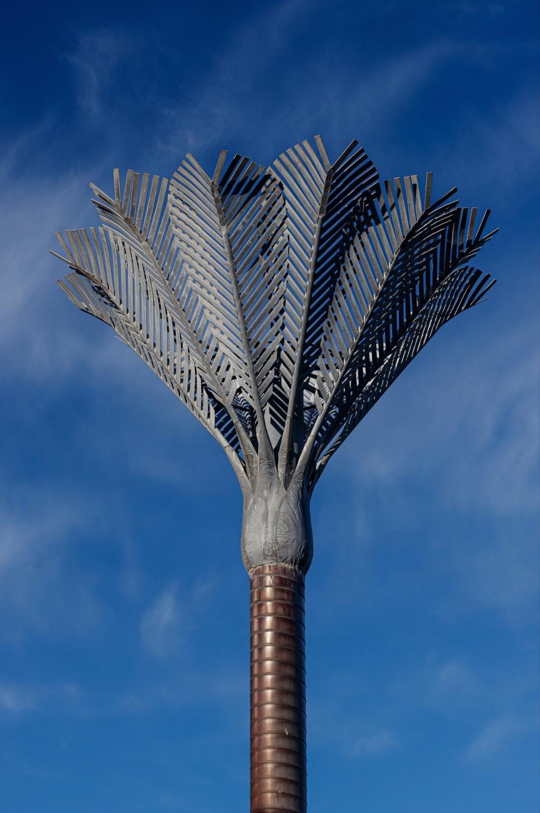 Nikau: Civic Square