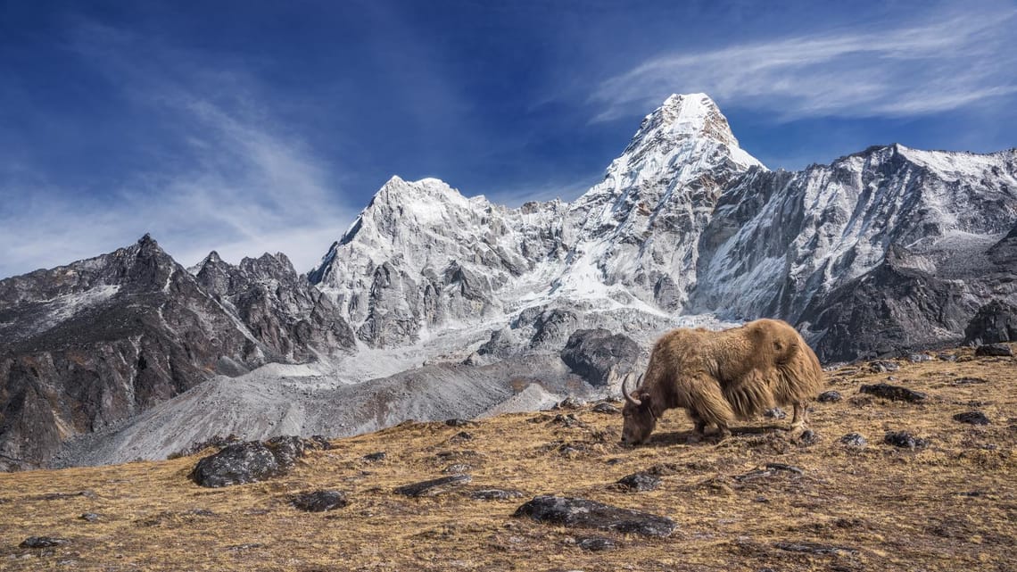 Ama Dablam