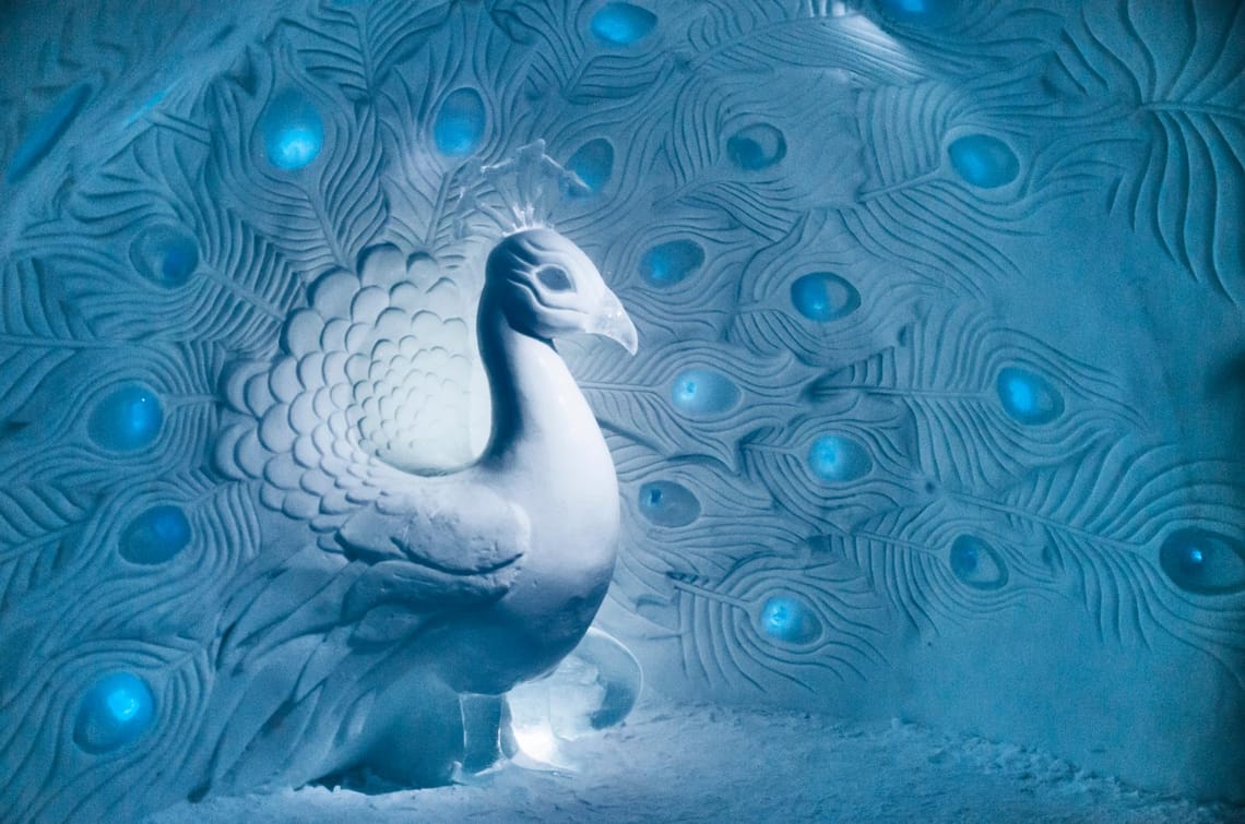 Ice bird