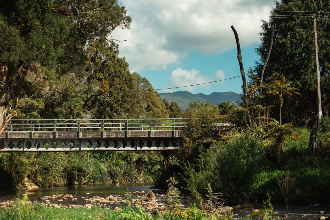 Kaniwhaniwha stream