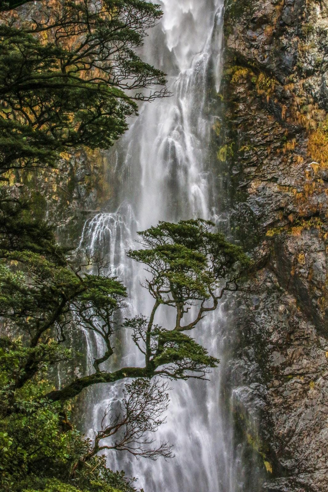 Devils Punchbowl