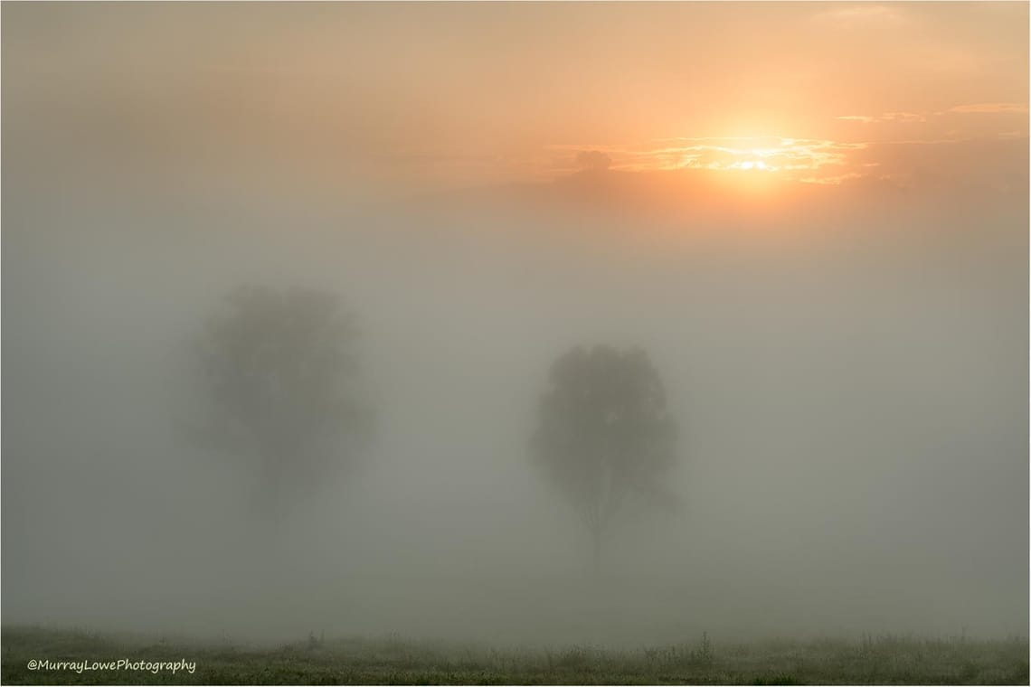 Sun piercing the fog