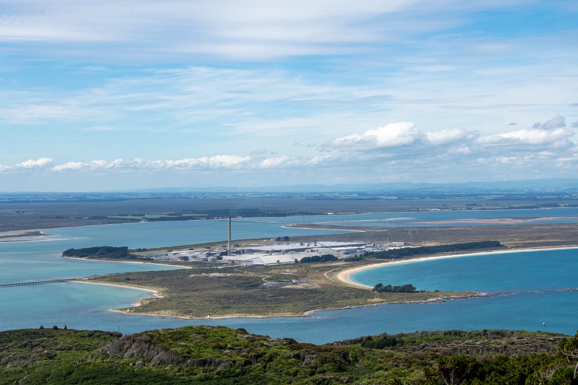 Tiwai from Bluff