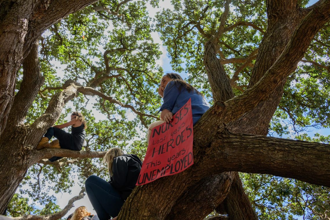 Nurses sign in a tree