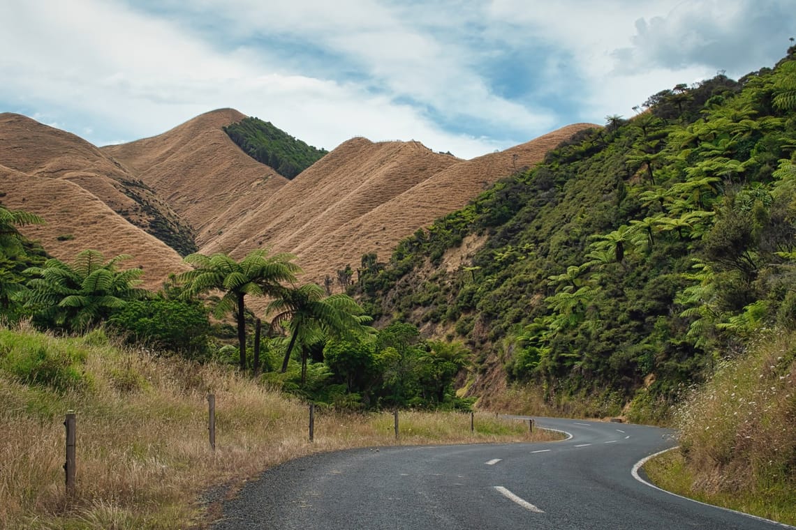 Mangatoa Road