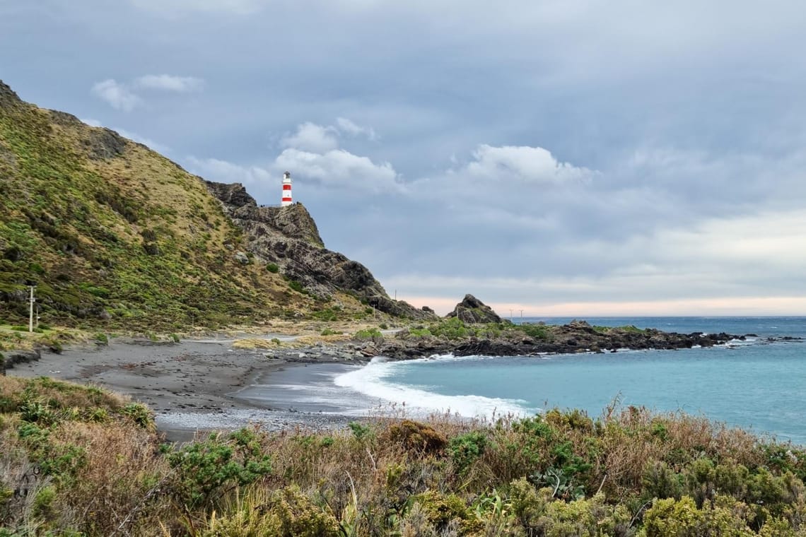 Cape Palliser