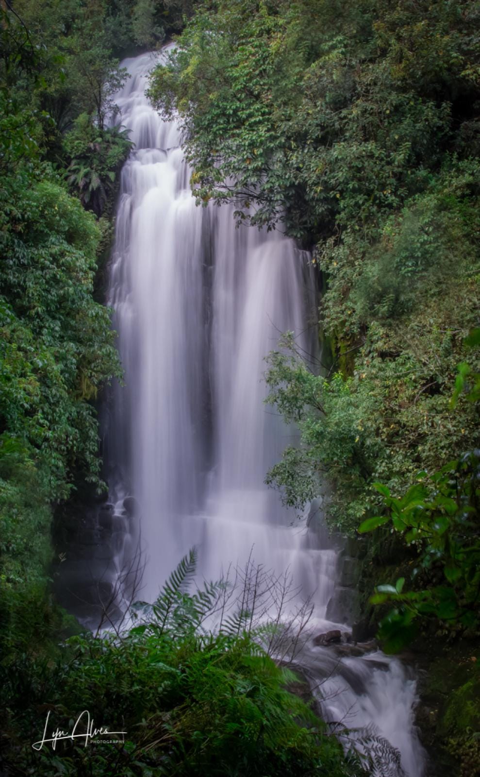 Waitanguru Falls