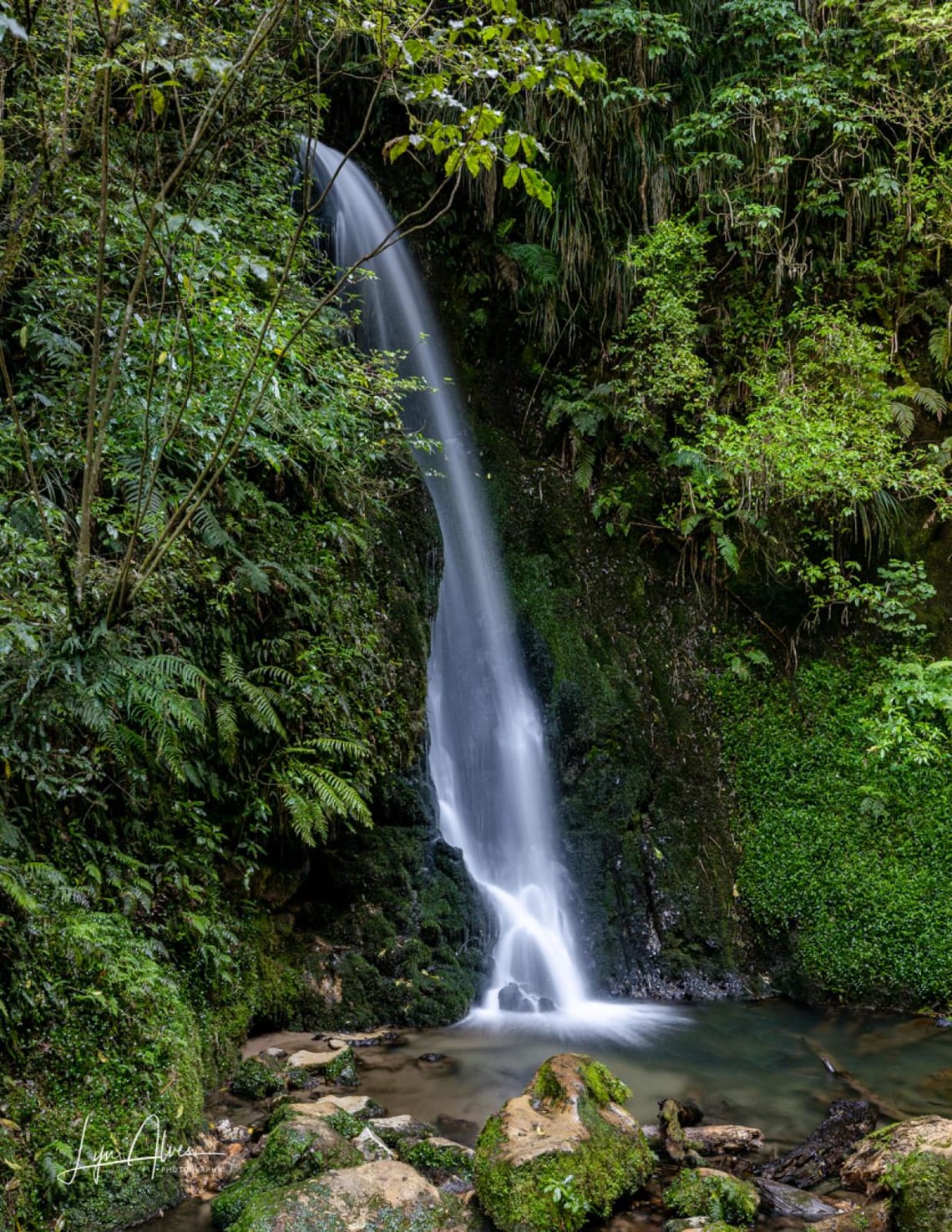 McLaren Falls, McLaren Part