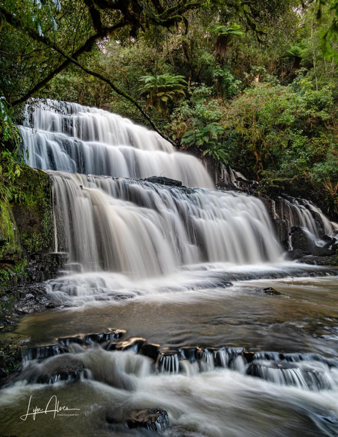 Purakaunui falls