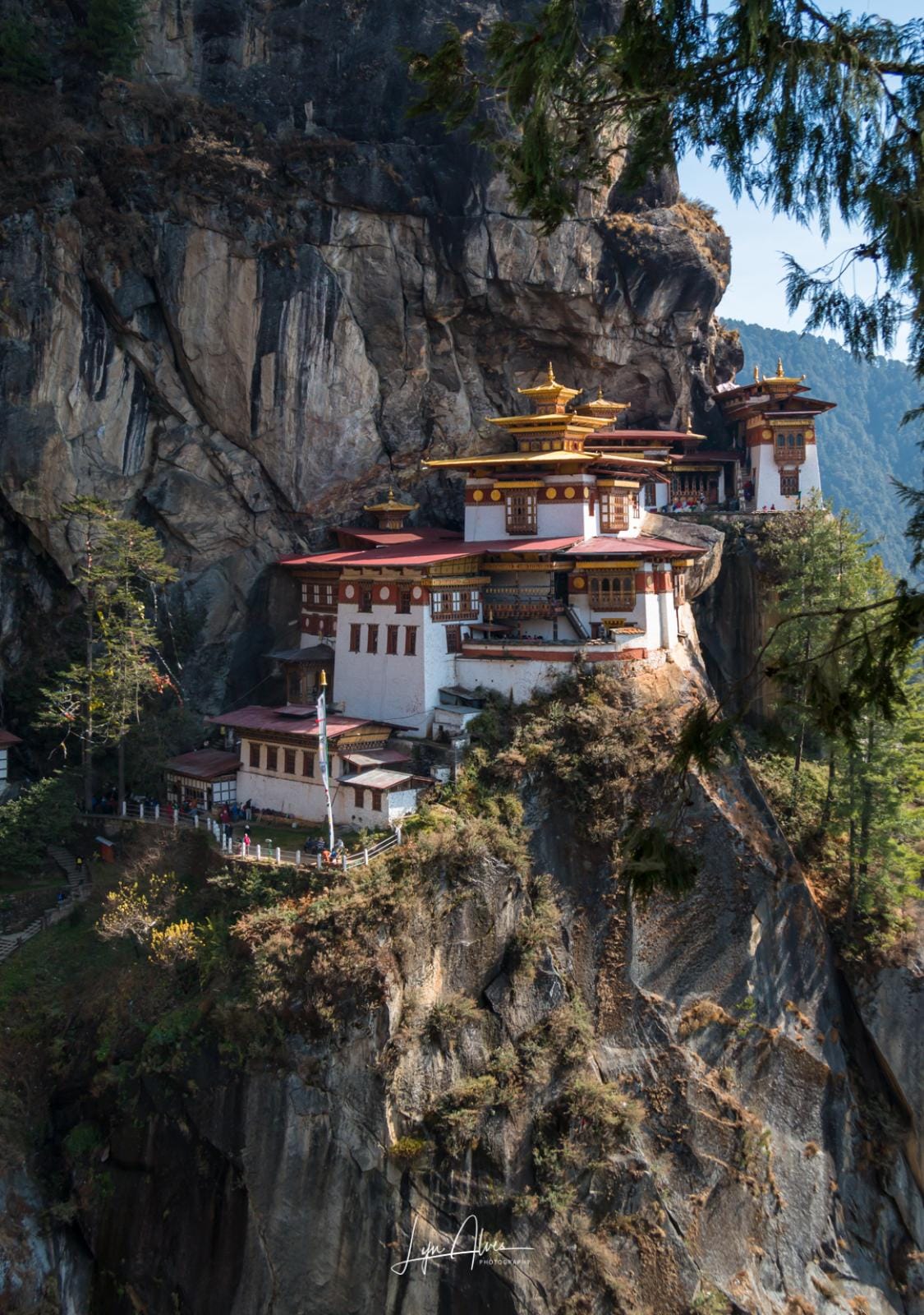 The Tigers Nest