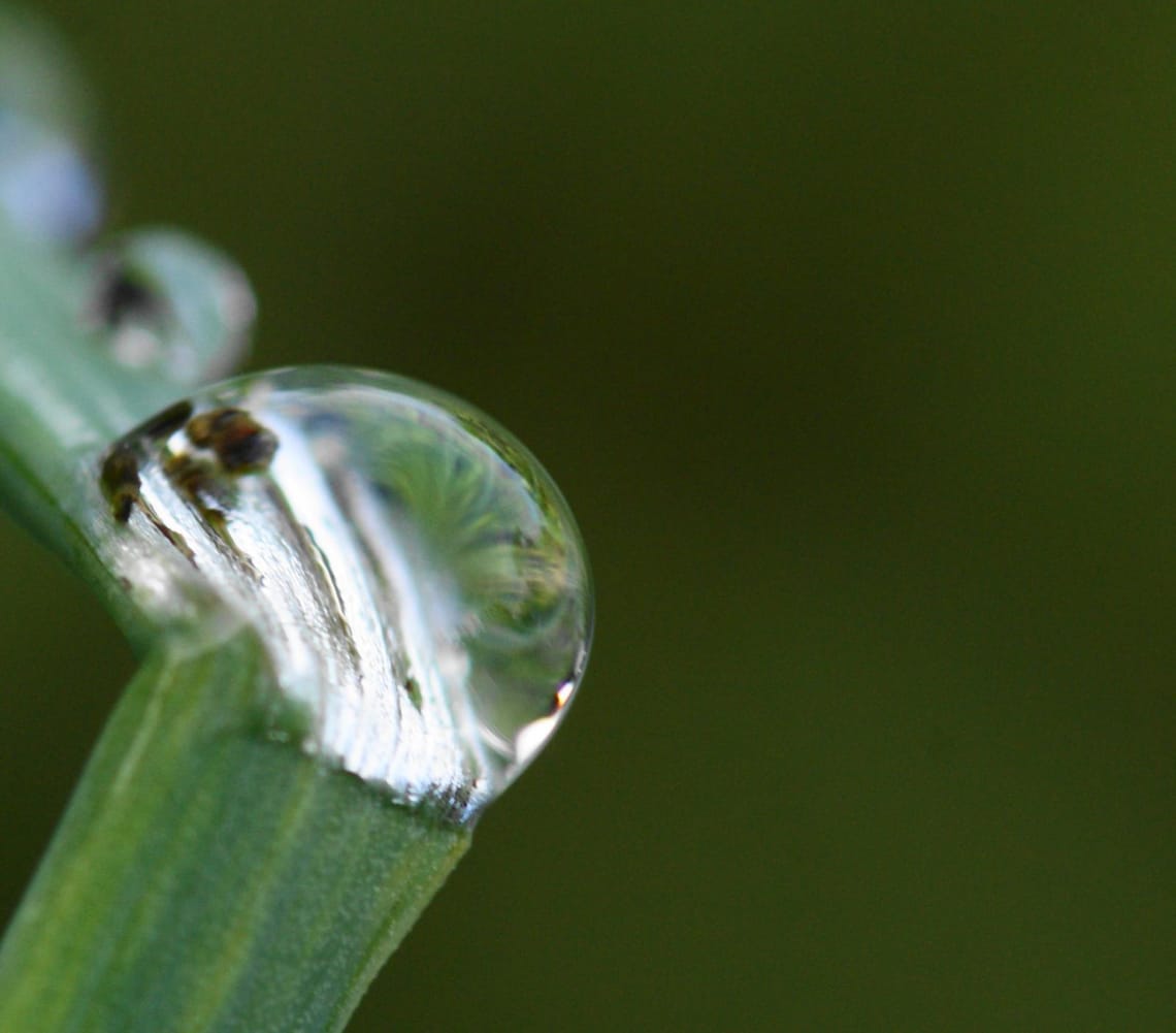 Water droplet