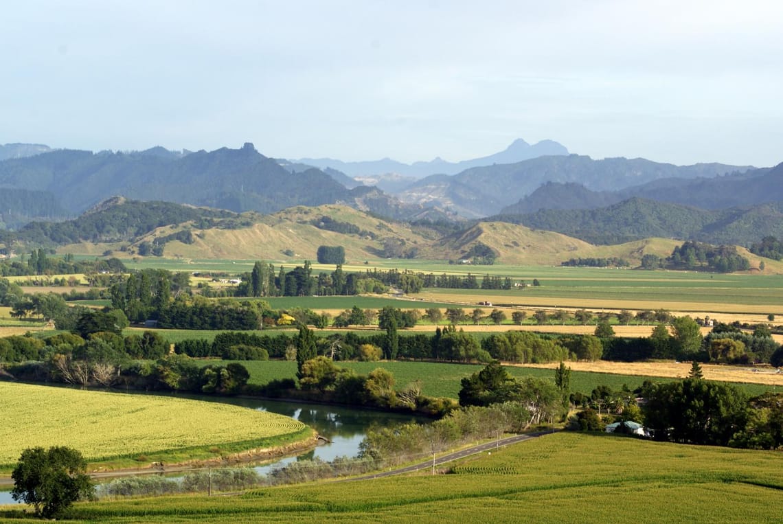 From the lookout