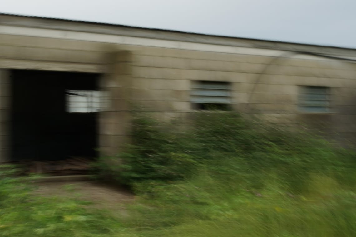 Old dairy shed