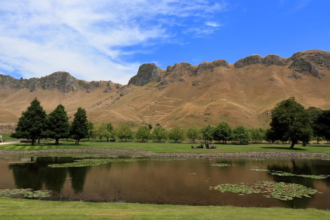 Te Mata View