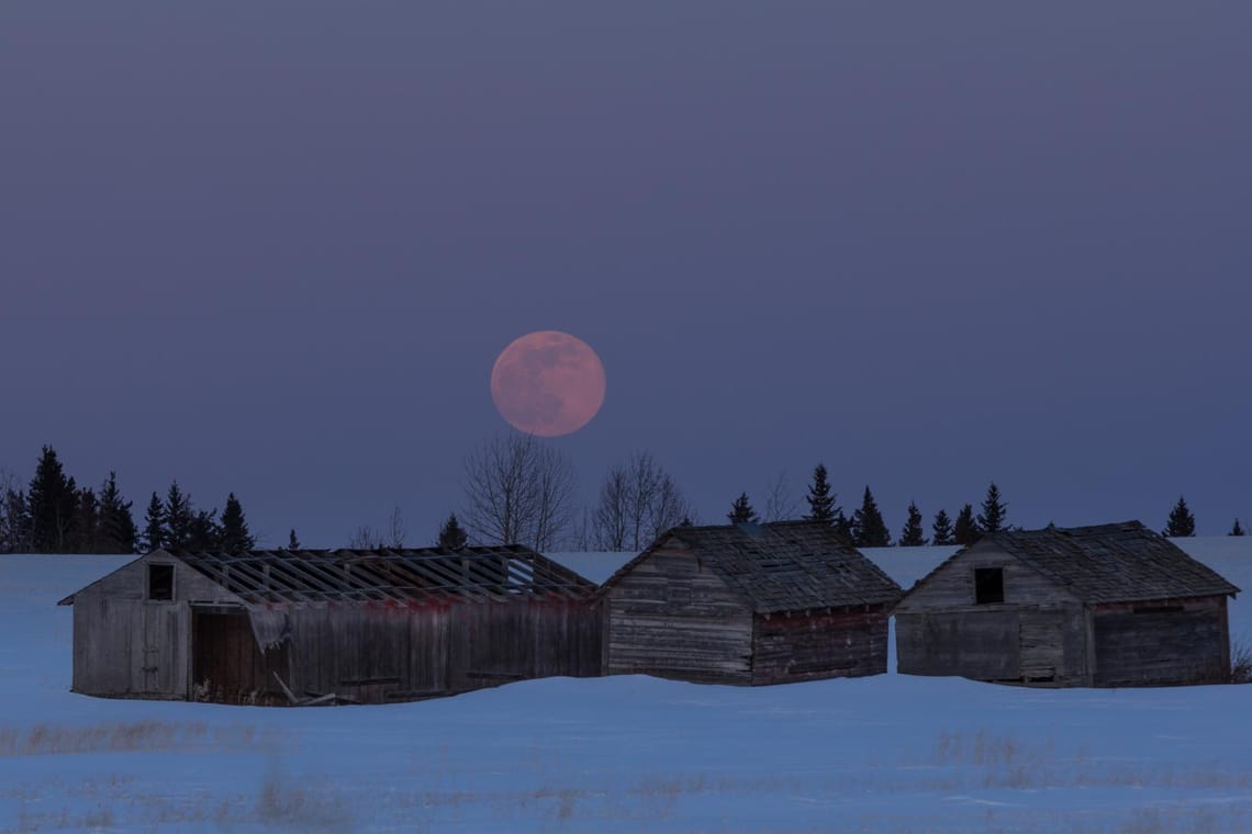 Pink Full moon