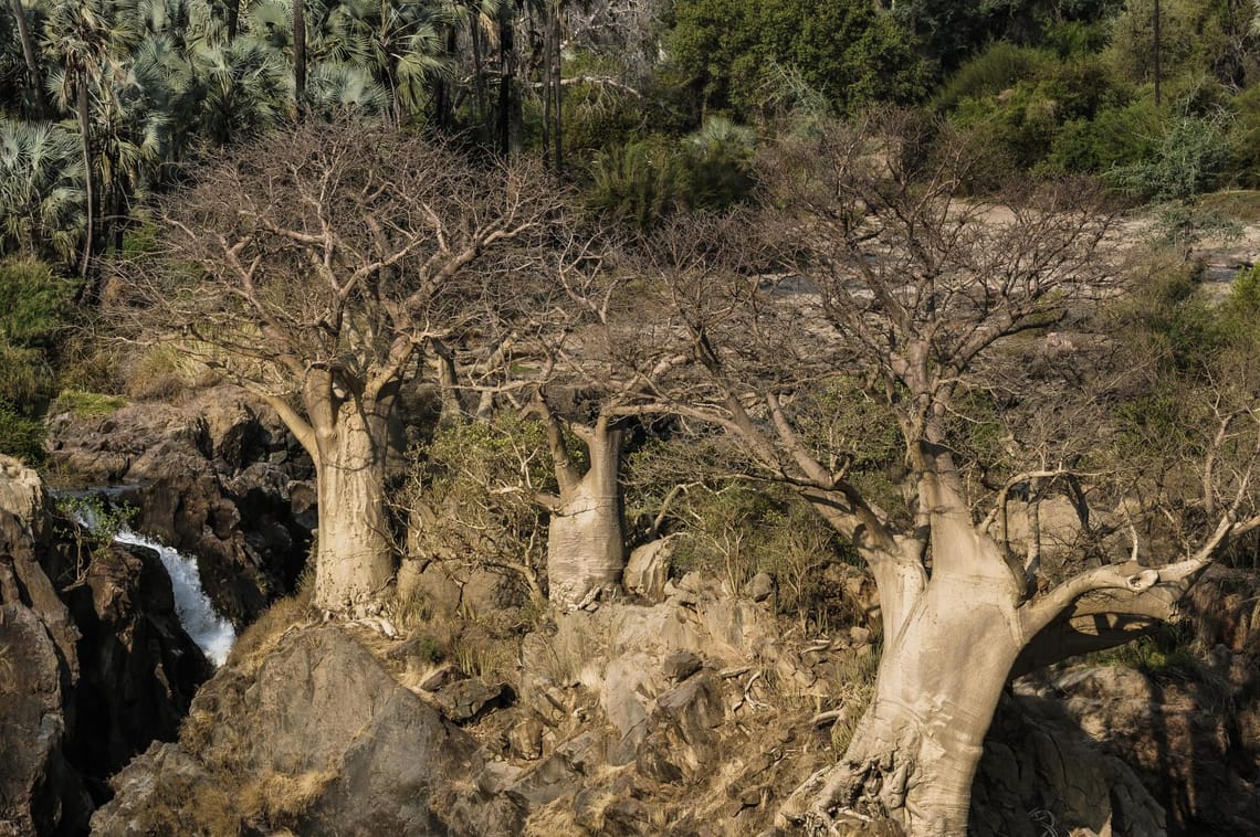 Waterfalls and Baobabs