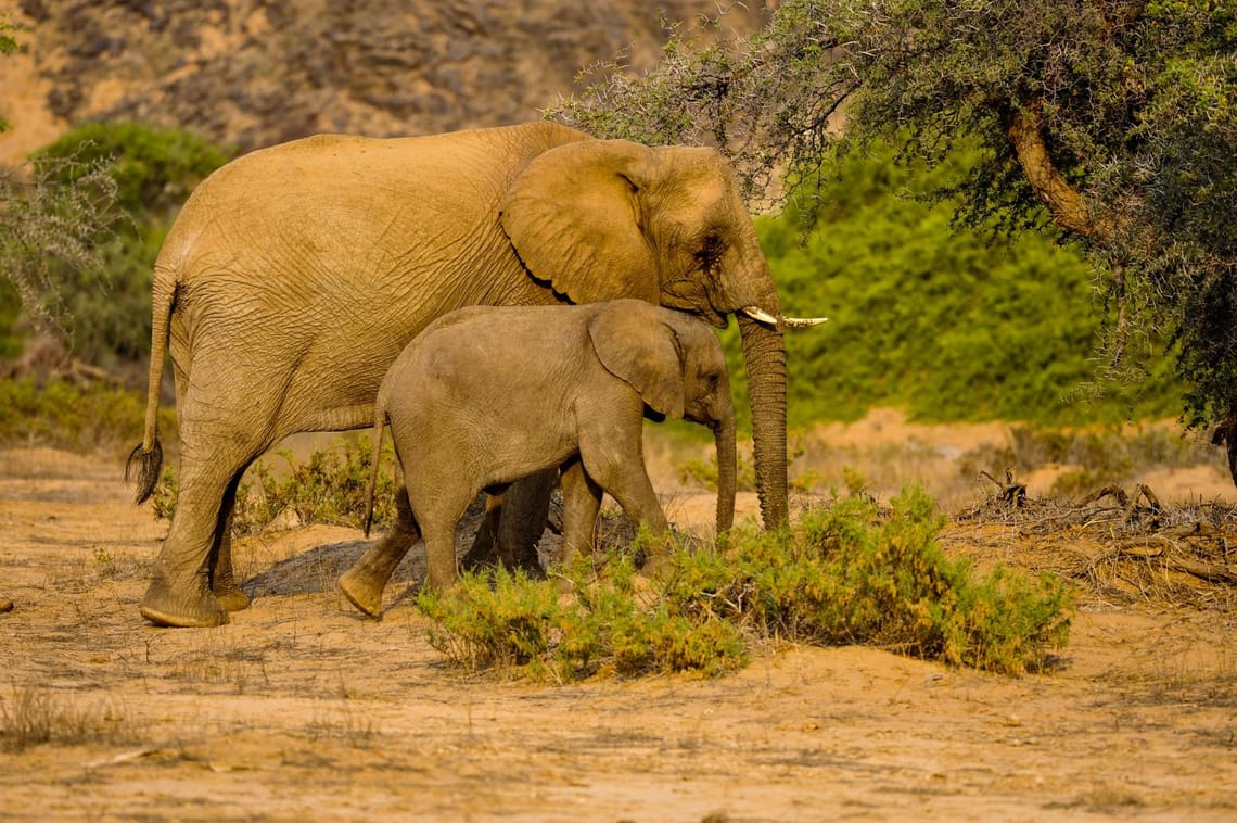 Mother and child