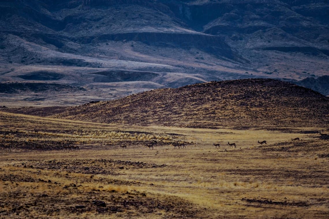 Camouflage in the landscape