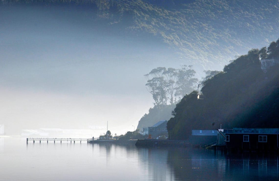 Otago Harbour