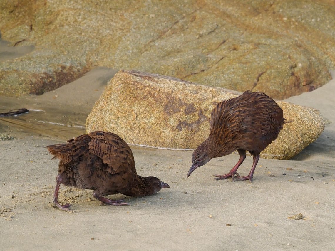 Weka Boundary Dispute