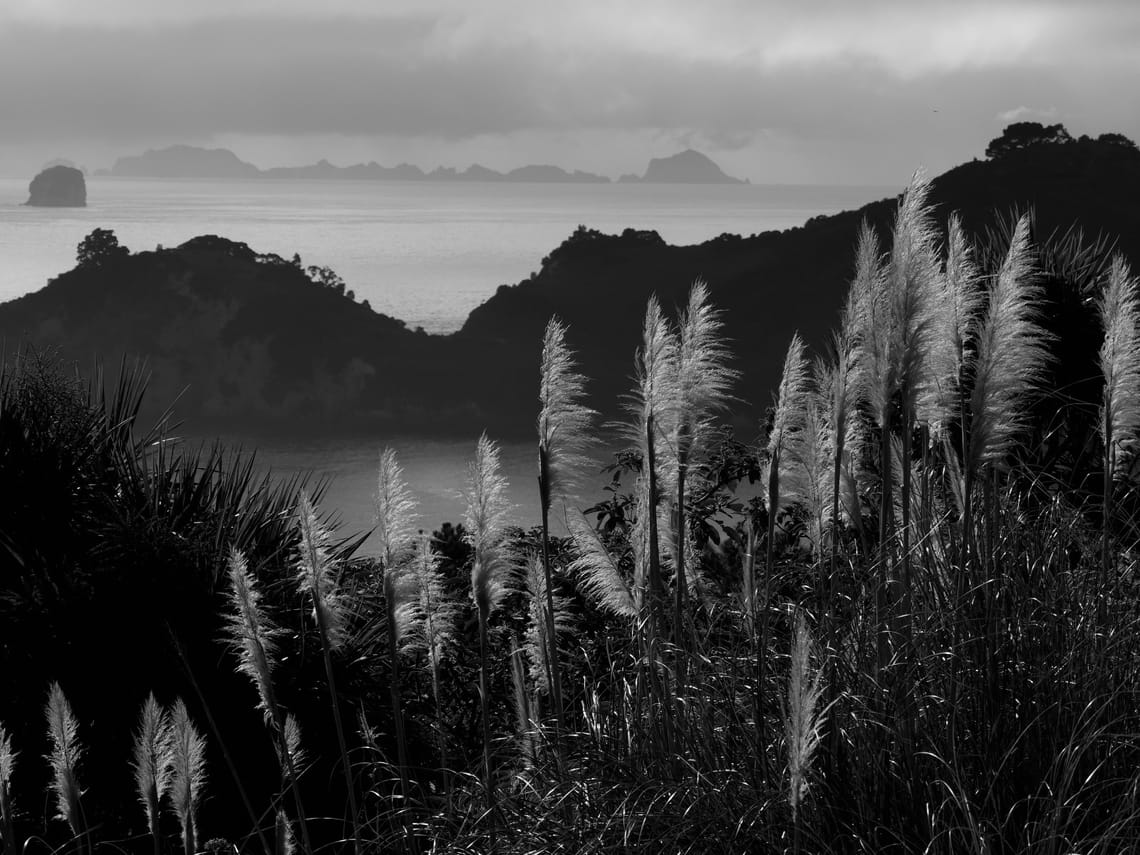 Coromandel Coastline