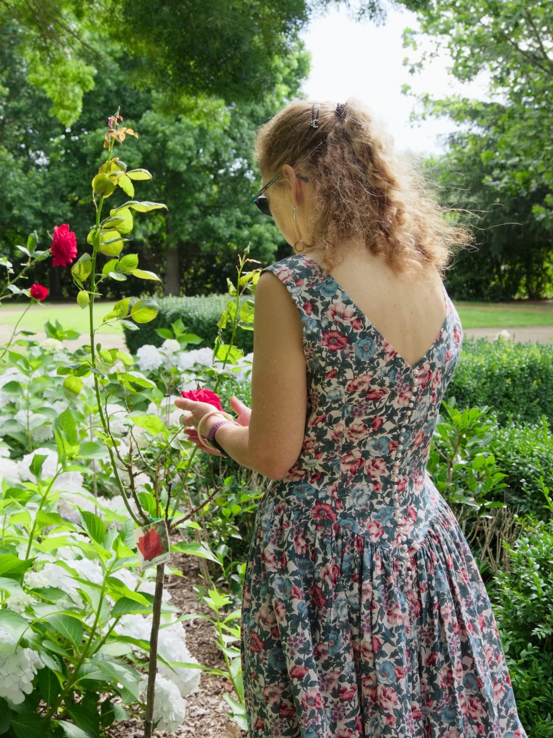 Enjoying the Roses