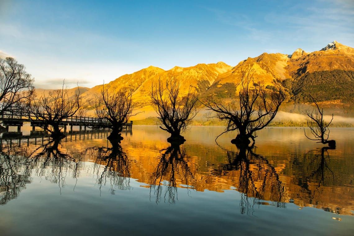 Glenorchy's willows