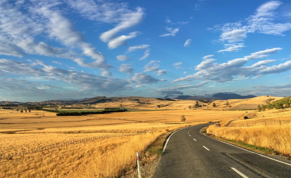 Martinborough summer