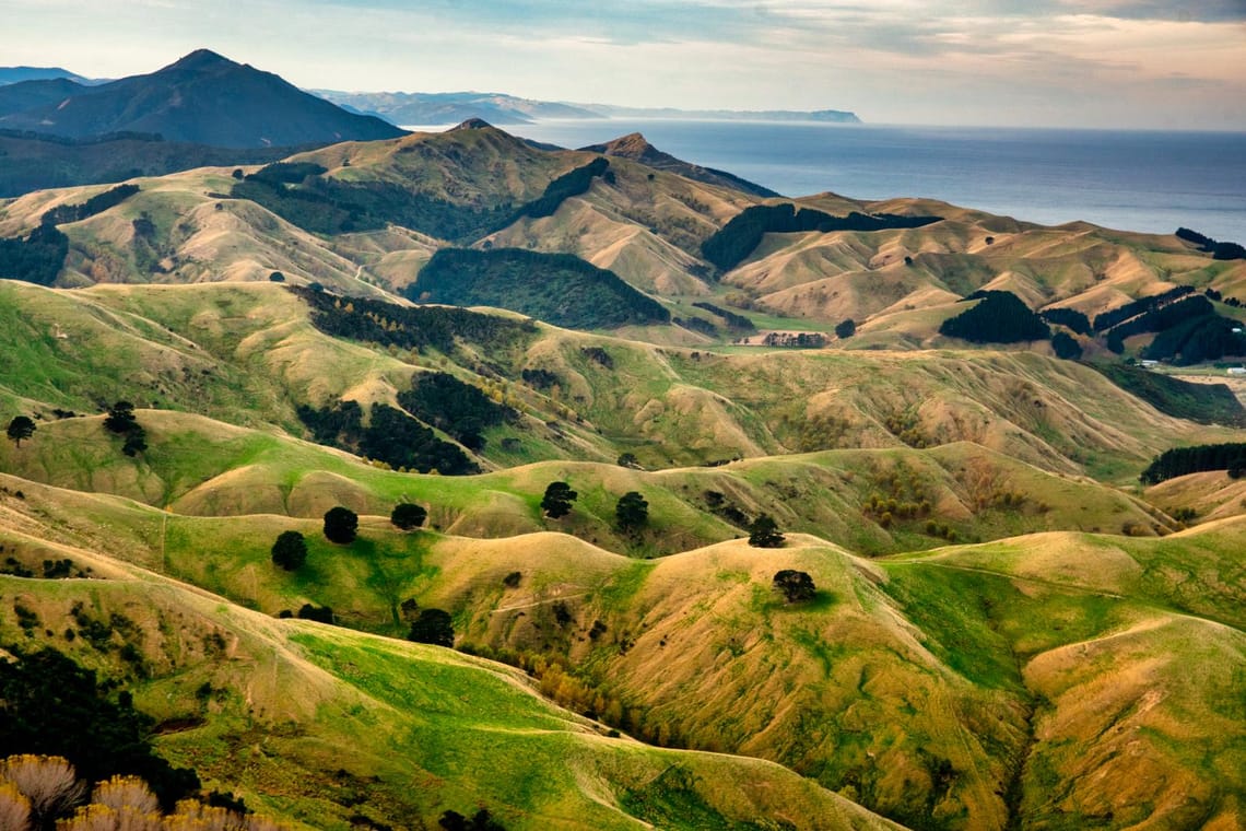 Rolling Wairarapa hills