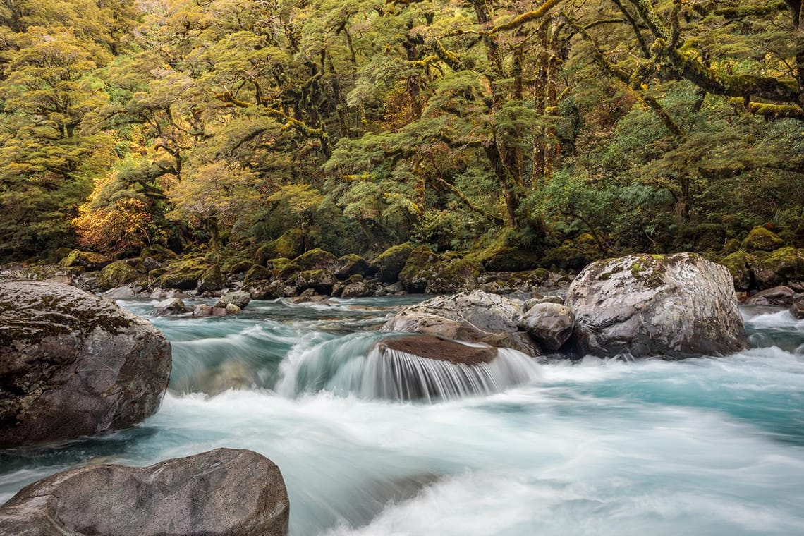 Rushing River