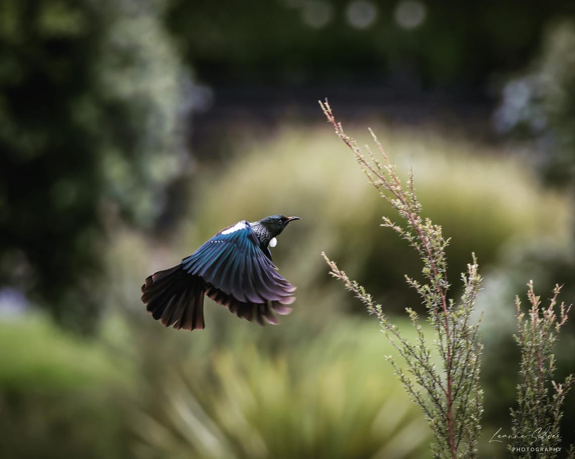 In flight