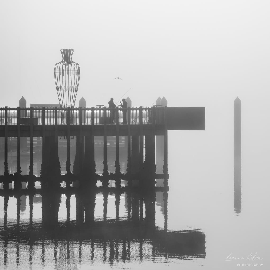 Fishing in the Mist