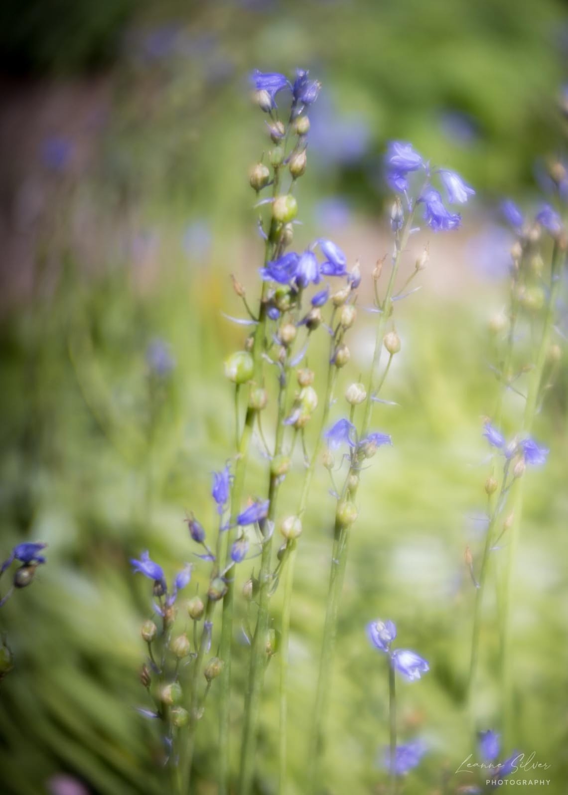 Blue mood