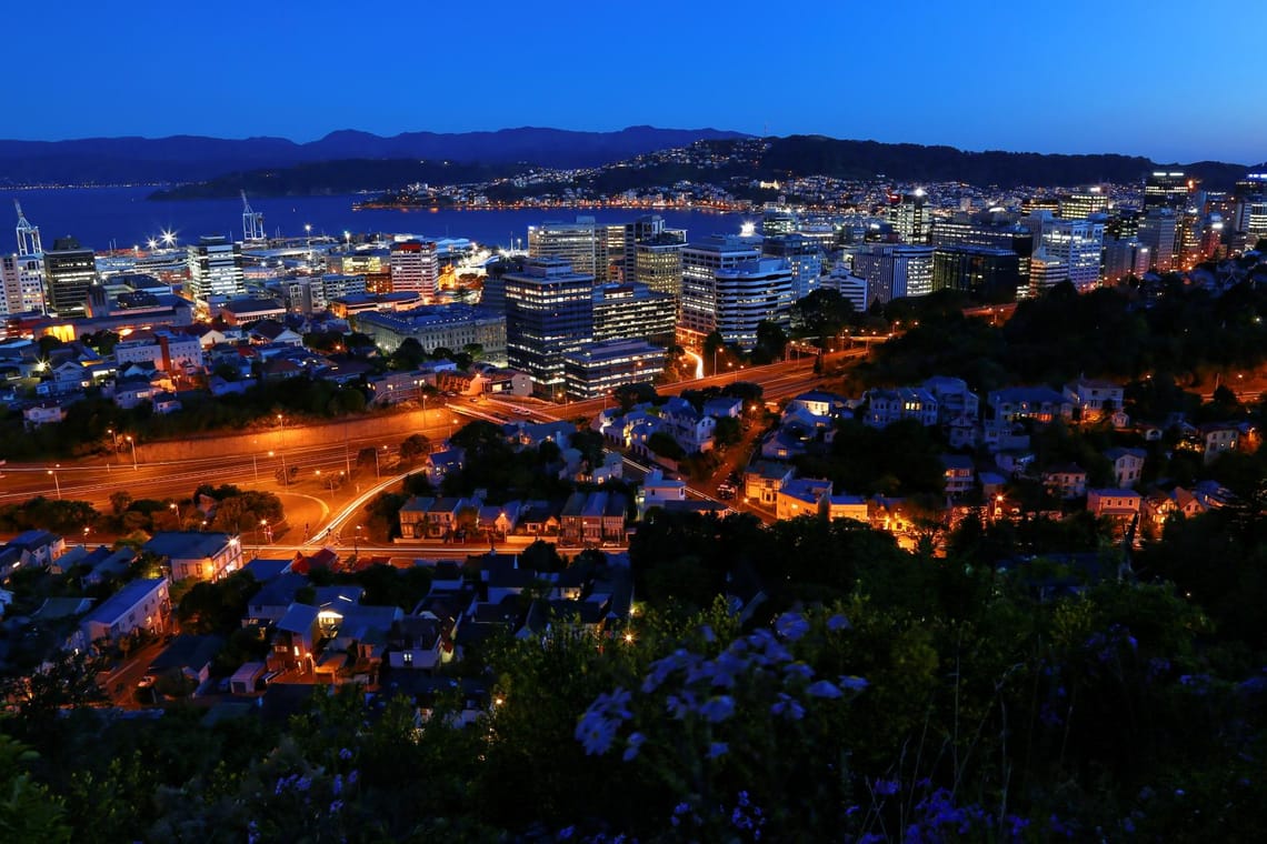 Wellington City fro Tinakori Hill