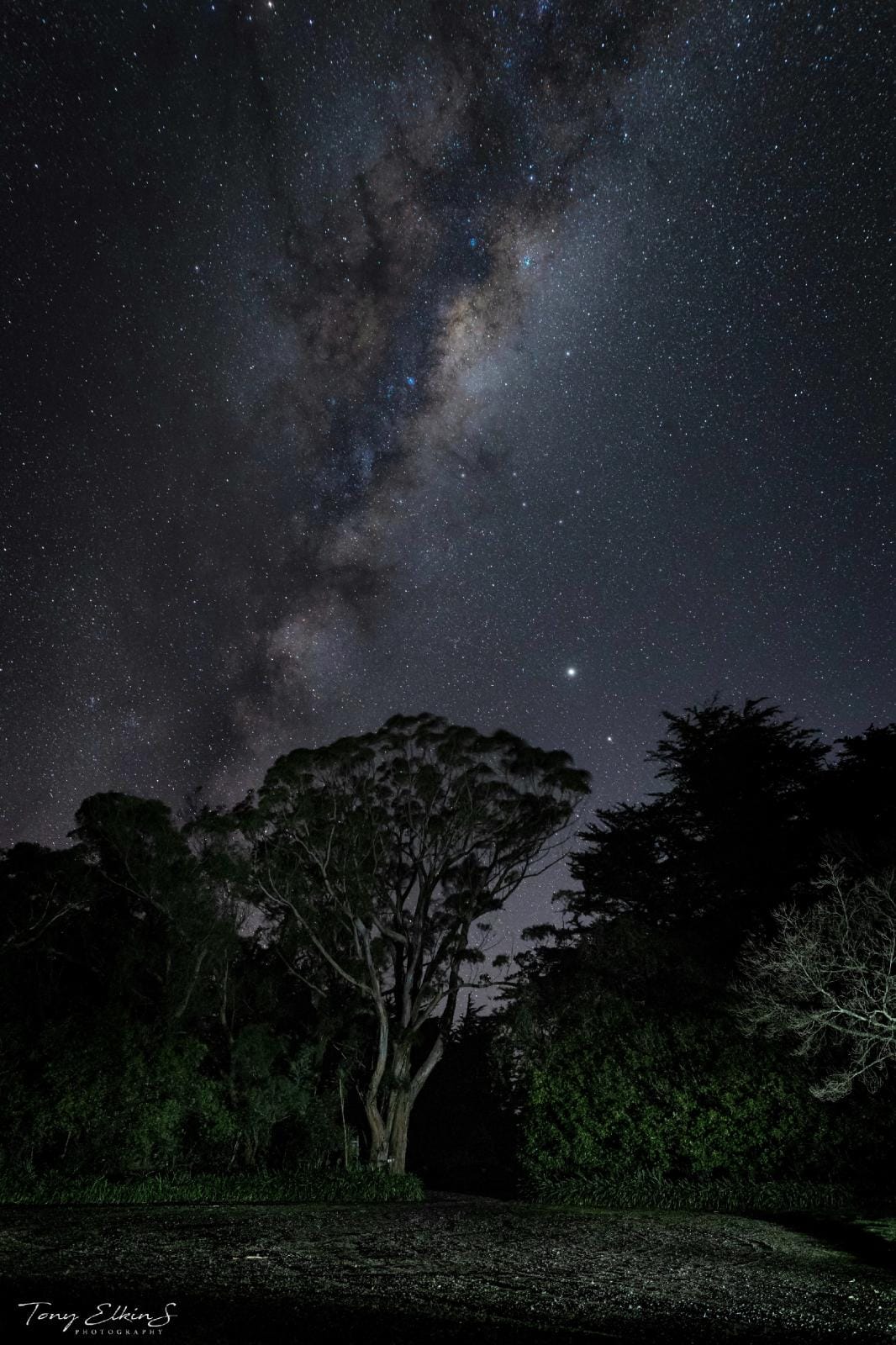 Mt Lee's Reserve under the Stars