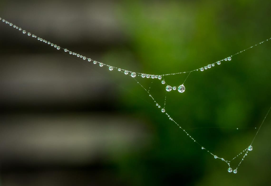 Dew necklace