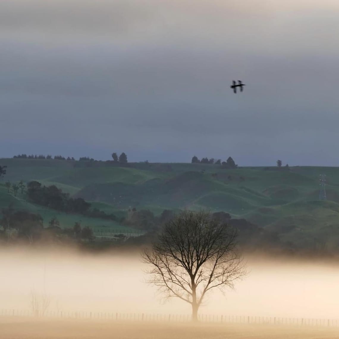 Misty Valley