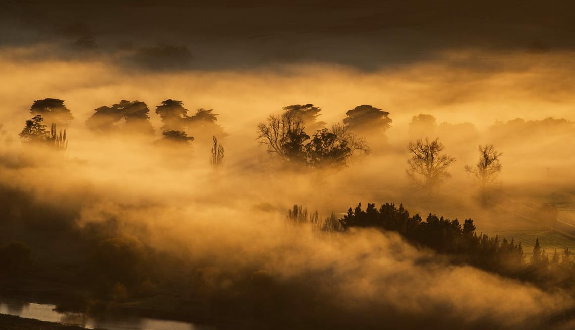 Cloud trees