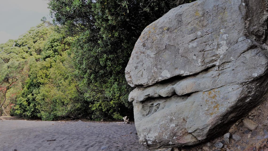 Giant boulder, Taranaki Coast