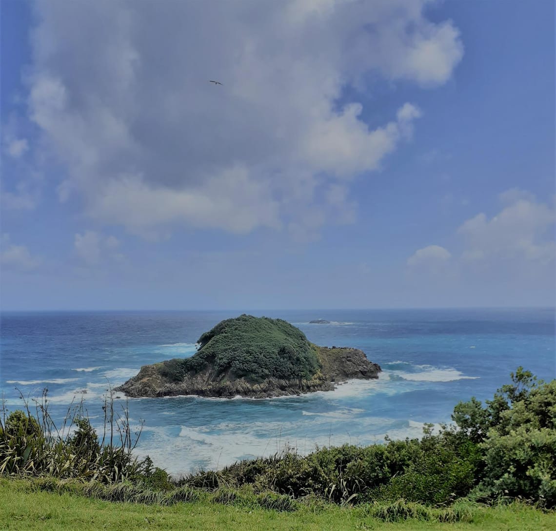 Sugar Loaf Island at Back Beach, New Plymouth