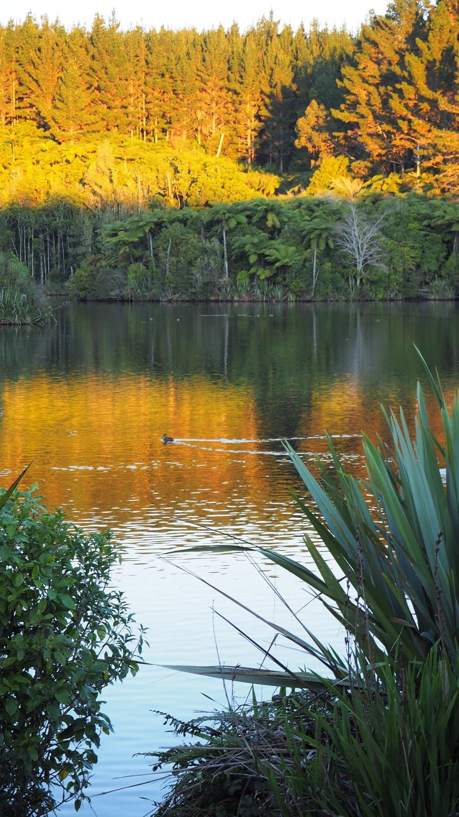 Lake Mangamahoe