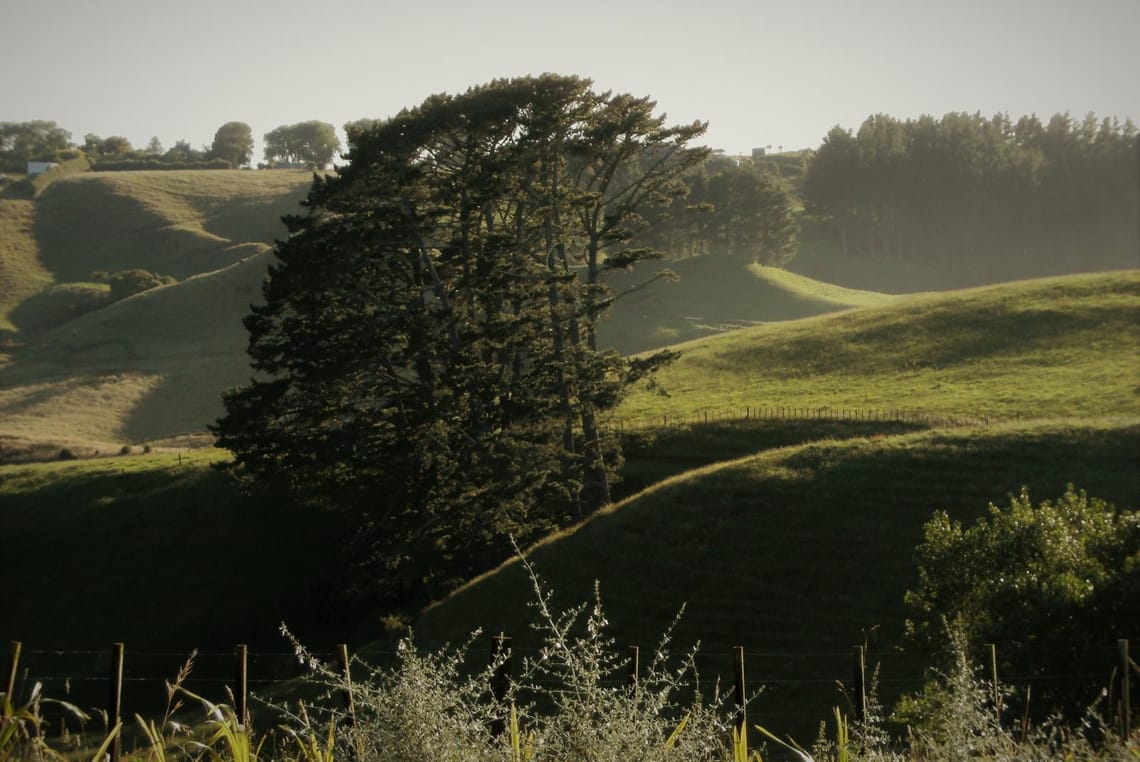 Taranaki Hills