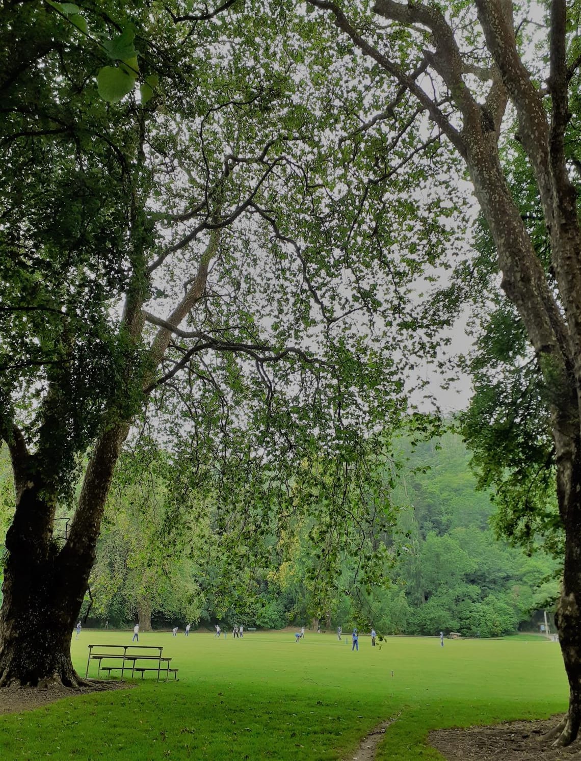 Nelson playing field