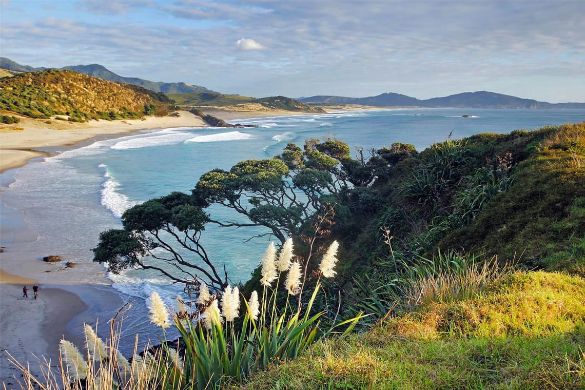 Whangarei Heads