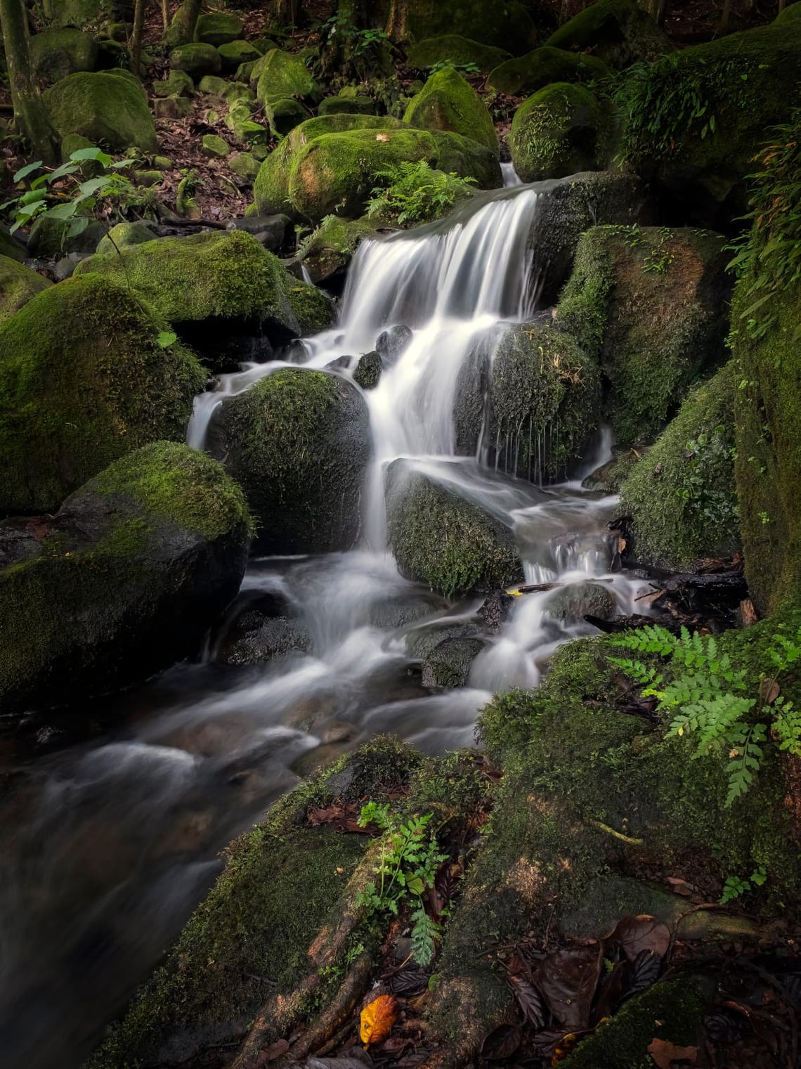 Waterfall - Hidden Gem