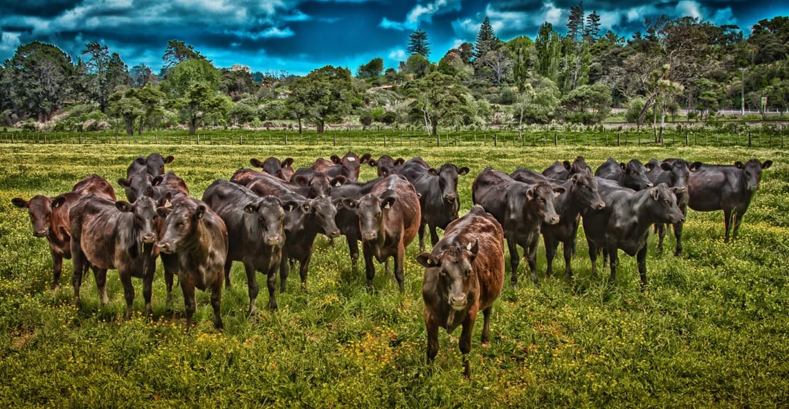 Farm family