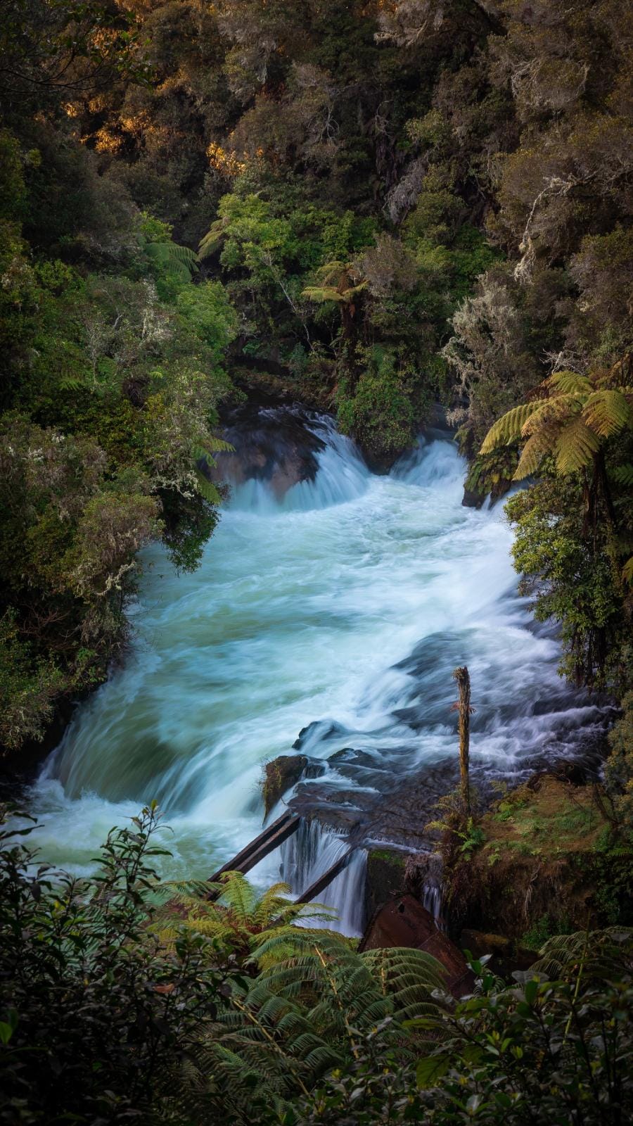 Kaituna River