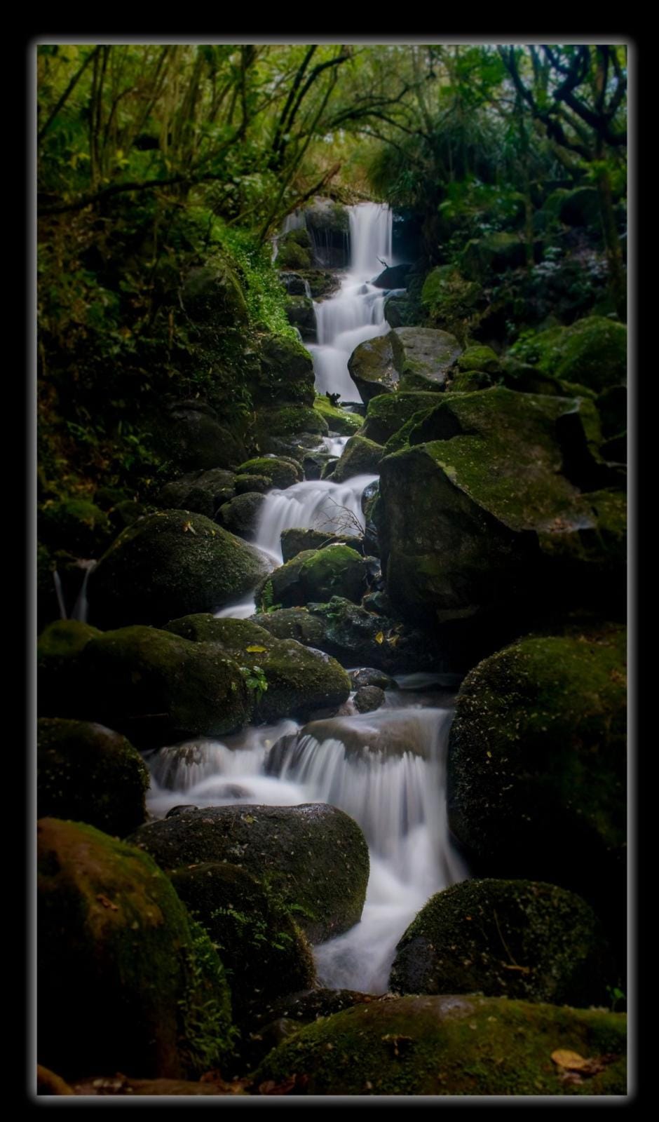 Henrys Falls