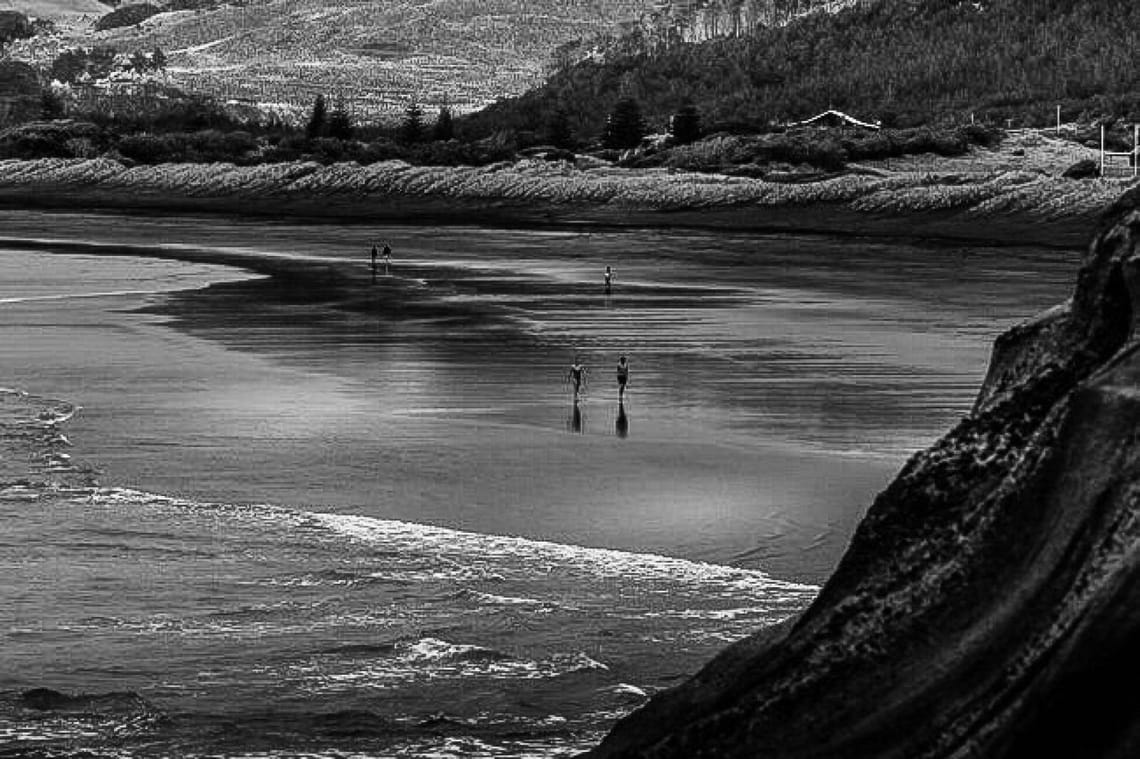 Muriwai in Winter