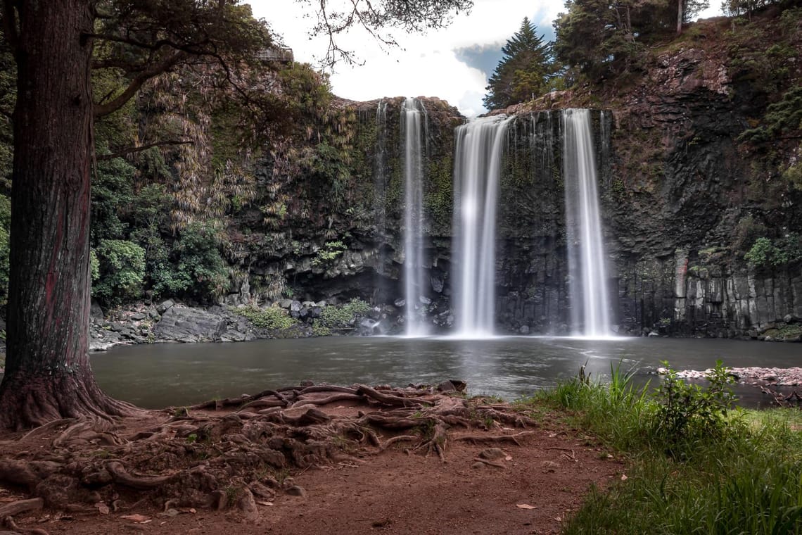 Whangarei Falls